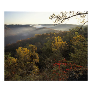 USA, Kentucky. Daniel Boone National Forest. Photo Print