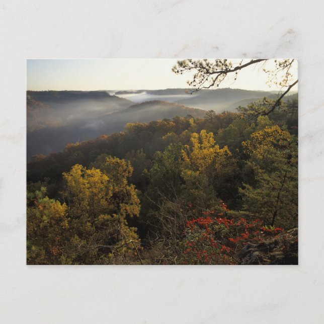 USA, Kentucky. Daniel Boone National Forest. Postcard (Front)