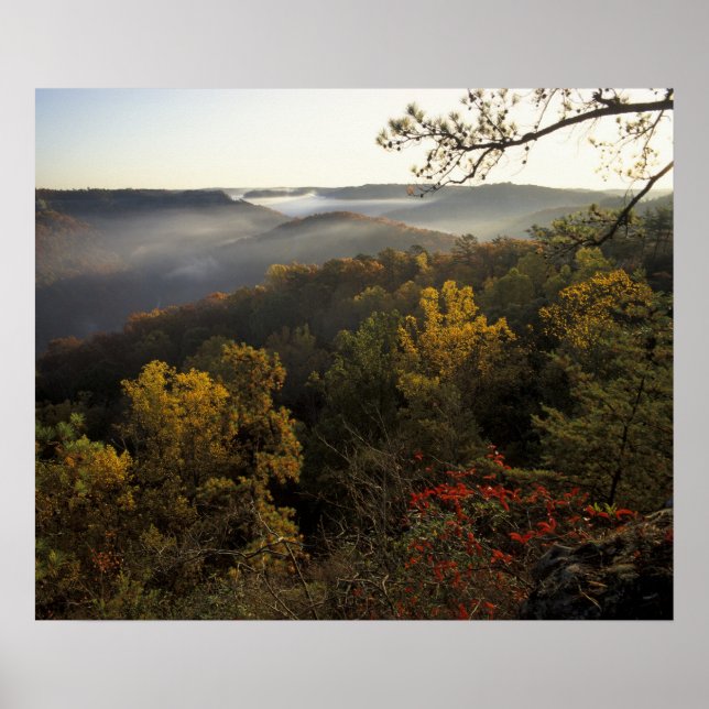 USA, Kentucky. Daniel Boone National Forest. Poster (Front)