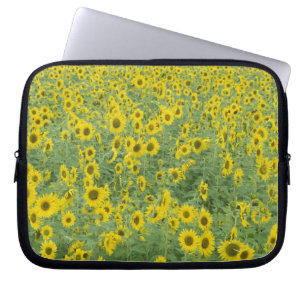 USA, Kentucky, Fayette County Pattern in field Laptop Sleeve
