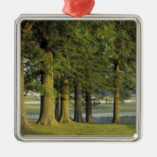 USA, Kentucky, Lexington. Row of trees and Metal Ornament