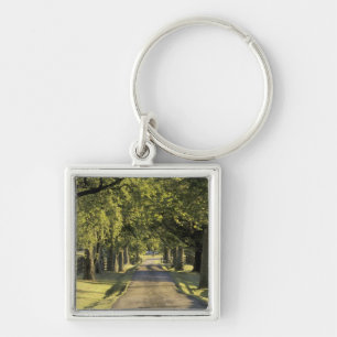 USA, Kentucky, Lexington. Tree-lined driveway, Keychain
