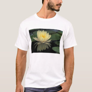 USA, Kentucky, Louisville Domestic water lily, T-Shirt
