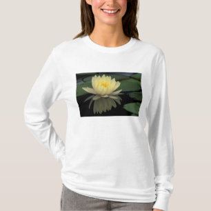 USA, Kentucky, Louisville Domestic water lily, T-Shirt