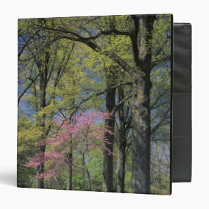 USA, Kentucky, Louisville. Eastern Redbud Binder