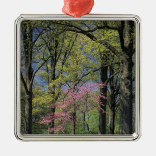 USA, Kentucky, Louisville. Eastern Redbud Metal Ornament
