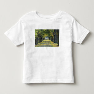 USA, Kentucky, Louisville. Tree-lined road in Toddler T-shirt