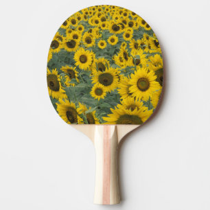 USA, Kentucky Pattern in field of cultivated Ping Pong Paddle