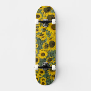 USA, Kentucky Pattern in field of cultivated Skateboard