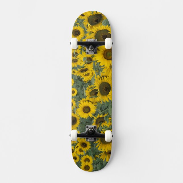 USA, Kentucky Pattern in field of cultivated Skateboard (Front)