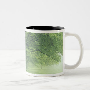 USA, Kentucky. Row of trees in spring Two-Tone Coffee Mug