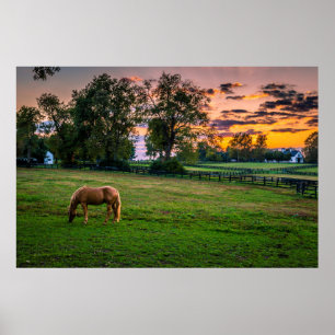 USA, Lexington, Kentucky. Lone horse at sunset 2 Poster