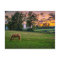 USA, Lexington, Kentucky. Lone horse at sunset