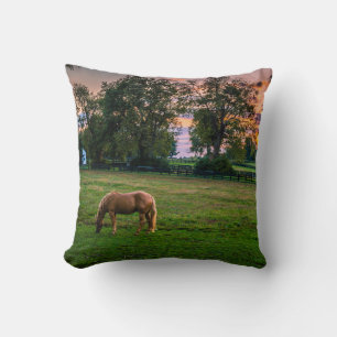 USA, Lexington, Kentucky. Lone horse at sunset Throw Pillow