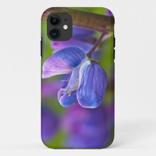 USA, Maine, Acadia National Park. Close-up of iPhone 11 Case