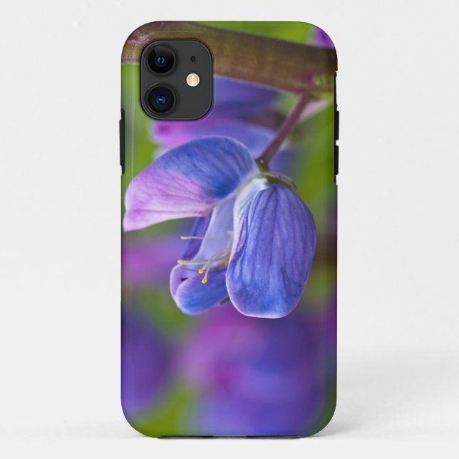 USA, Maine, Acadia National Park. Close-up of Case-Mate iPhone Case (Back)