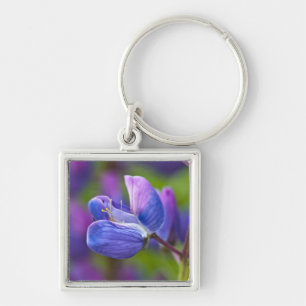 USA, Maine, Acadia National Park. Close-up of Keychain