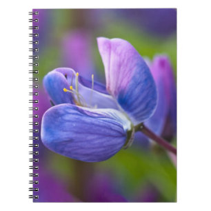 USA, Maine, Acadia National Park. Close-up of Notebook