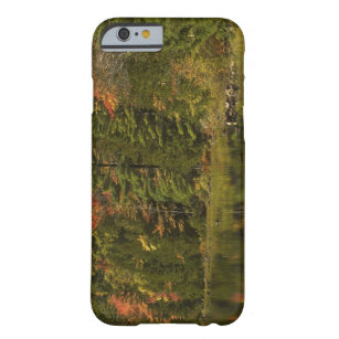 USA; Maine; Acadia NP. Fall reflections at 2 Barely There iPhone 6 Case
