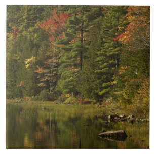 USA; Maine; Acadia NP. Fall reflections at 2 Tile