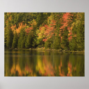 USA; Maine; Acadia NP. Fall reflections at Poster