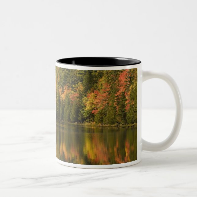 USA; Maine; Acadia NP. Fall reflections at Two-Tone Coffee Mug (Right)
