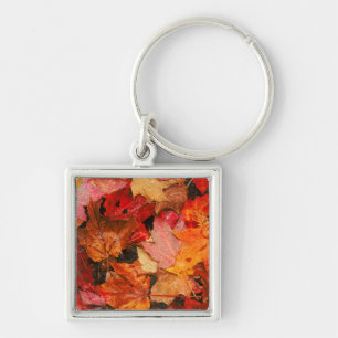 USA, Maine. Autumn maple leaves Keychain