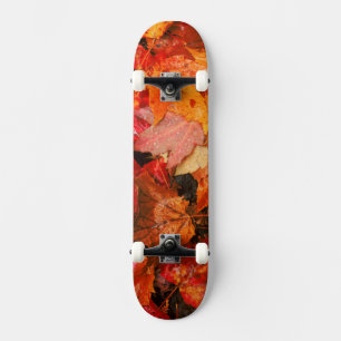 USA, Maine. Autumn maple leaves Skateboard