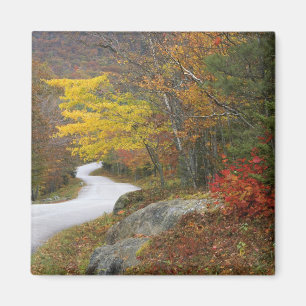USA, Maine, Camden. Road leading through Camden Magnet