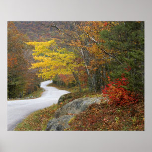 USA, Maine, Camden. Road leading through Camden Poster