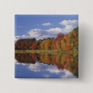 USA, Massachusetts, Acton. Reflection of autumn 2 Inch Square Button