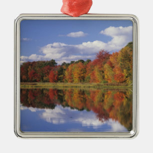 USA, Massachusetts, Acton. Reflection of autumn Metal Ornament