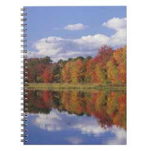 USA, Massachusetts, Acton. Reflection of autumn Notebook