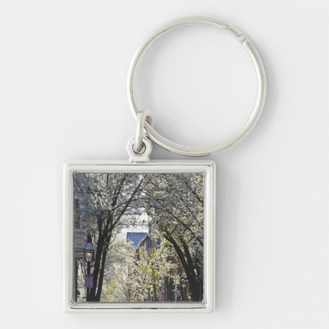 USA, Massachusetts, Boston, Beacon Hill. Keychain (Front)