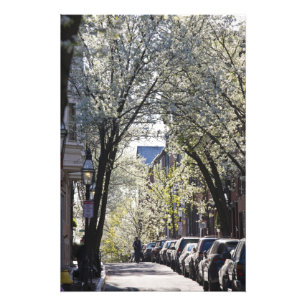 USA, Massachusetts, Boston, Beacon Hill. Photo Print