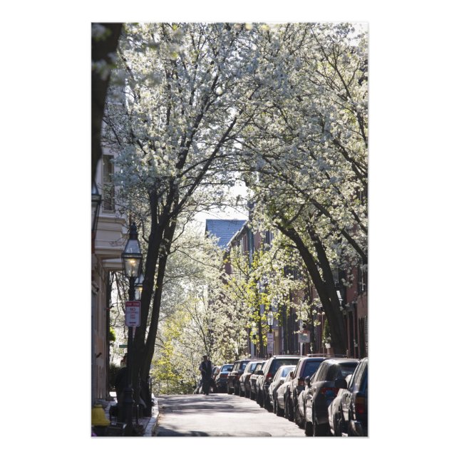 USA, Massachusetts, Boston, Beacon Hill. Photo Print (Front)