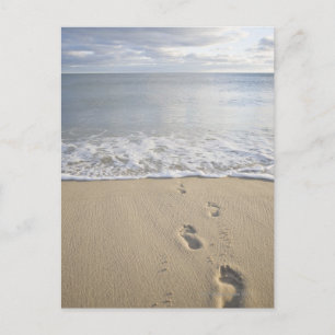 USA, Massachusetts, Cape Cod, footprints on Postcard