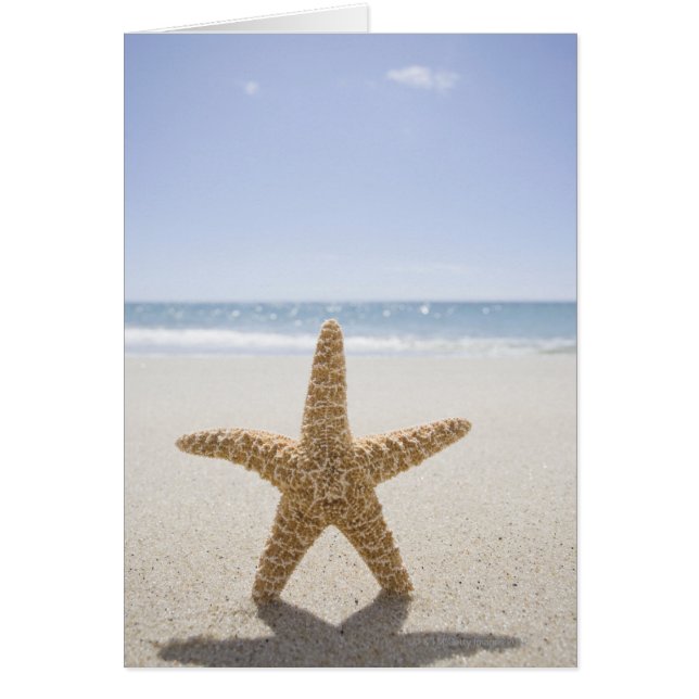 USA, Massachusetts, Cape Cod, Nantucket, close (Front)