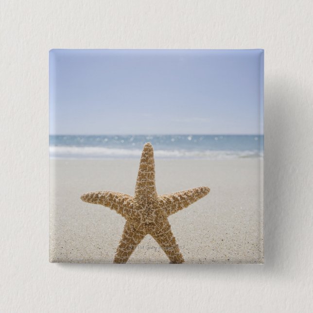 USA, Massachusetts, Cape Cod, Nantucket, close 2 Inch Square Button (Front)