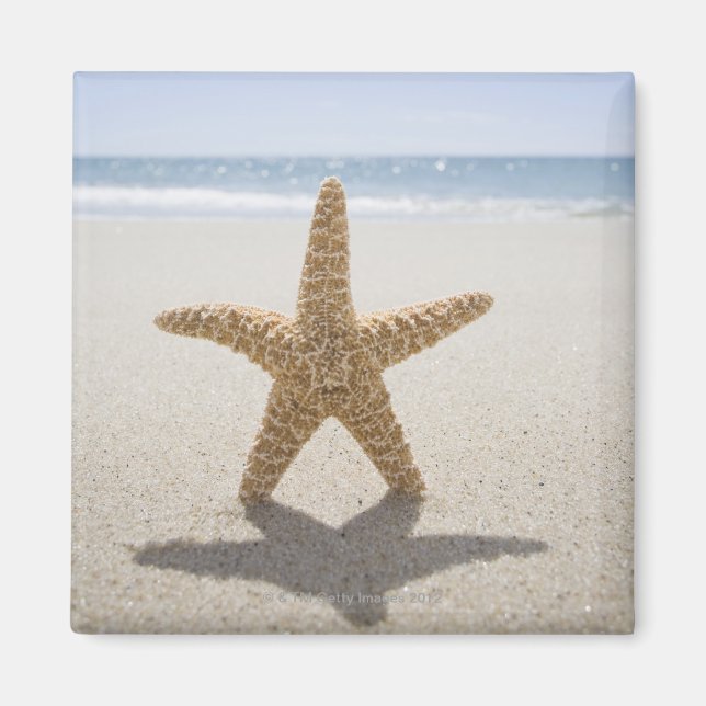 USA, Massachusetts, Cape Cod, Nantucket, close Magnet (Front)