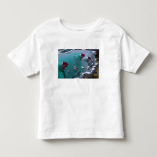 USA, Massachusetts, Gloucester. 1950s-era Toddler T-shirt