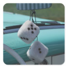 USA, Massachusetts, Gloucester. Fuzzy dice in a