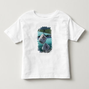USA, Massachusetts, Gloucester. Fuzzy dice in a Toddler T-shirt