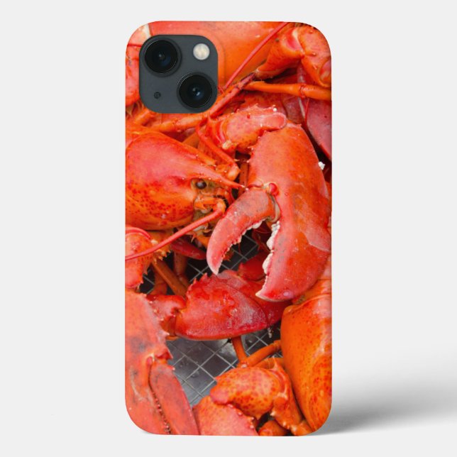 USA, Massachusetts, Martha's Vineyard Case-Mate iPhone Case (Back)