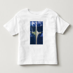 USA, MASSACHUSETTS, Martha's Vineyard: West 3 Toddler T-shirt