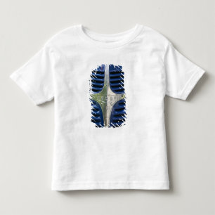 USA, MASSACHUSETTS, Martha's Vineyard: West 3 Toddler T-shirt