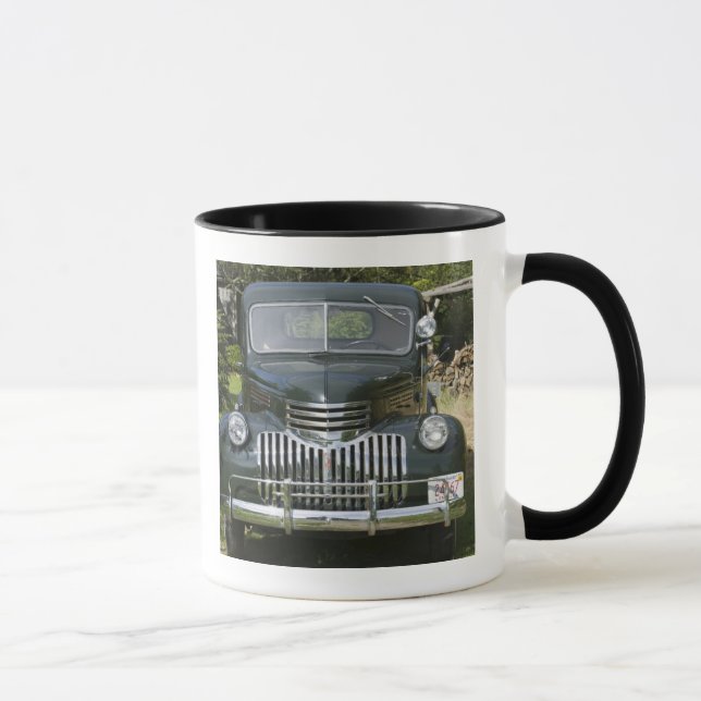 USA, MASSACHUSETTS, Martha's Vineyard: West 4 Mug (Right)