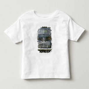 USA, MASSACHUSETTS, Martha's Vineyard: West 4 Toddler T-shirt