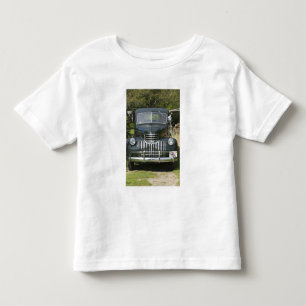 USA, MASSACHUSETTS, Martha's Vineyard: West 4 Toddler T-shirt
