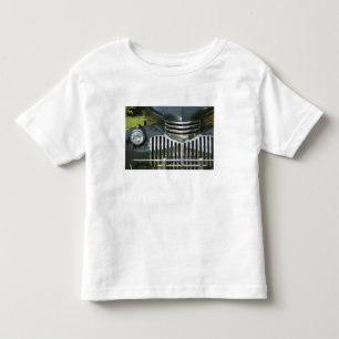 USA, MASSACHUSETTS, Martha's Vineyard: West Toddler T-shirt